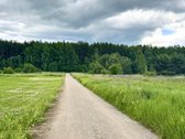 Parduodamas žemės sklypas vienbučių ir - nuotraukos Nr. 12