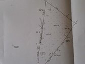 Parduodamas 3,0279 ha žemės ūkio paskirties - nuotraukos Nr. 4