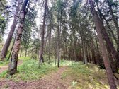 Parduodamas Namas Su Sklypu Šilėnų Sodų 7 - nuotraukos Nr. 5