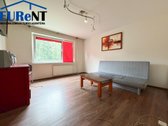 Nuomojamas butas Didlaukio g. 70, Baltupiai,