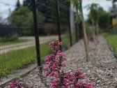 Parduodamas Erdvus Ir Šiuolaikiškas Namas - nuotraukos Nr. 49