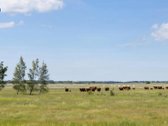 Parduodamas sklypas investicijai Šventojoje - nuotraukos Nr. 5