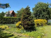 Parduodamas jaukus ir erdvus mūrinis sodo - nuotraukos Nr. 6