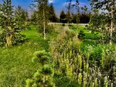 Klaipėdos r. sav., Šimkų k. - nuotraukos Nr. 3