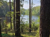 Parduodamas 15,2 ha ploto Trilypio ežeras ir - nuotraukos Nr. 2