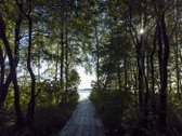 Išskirtinis sklypas prie Platelių ežero – - nuotraukos Nr. 6