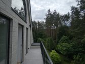 Šviesūs apartamentai miško apsuptyje!  - nuotraukos Nr. 32