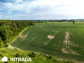 Investicinis sklypų masyvas 2,58 ha – - nuotraukos Nr. 15