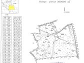 Parduodamas 20 metų beržo, eglės, juodalksnio - nuotraukos Nr. 5