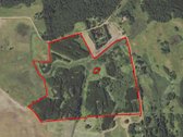 Parduodamas 20 metų beržo, eglės, juodalksnio