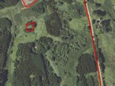 Parduodamas 20 metų beržo, eglės, juodalksnio - nuotraukos Nr. 4