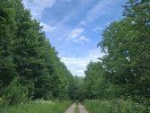 Parduodamas Sklypas Gražioje Vietoje Prie Miško - nuotraukos Nr. 5