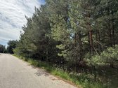 Erdvus 16,05 arų sklypas Tarandėje – - nuotraukos Nr. 2