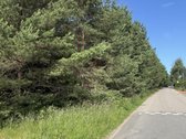Erdvus 16,05 arų sklypas Tarandėje –