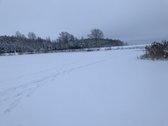 Parduodama Sodyba Su 2,73 Ha Žemės Sklypu - nuotraukos Nr. 5