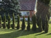 Keičiu namą į butą Panevėžyje arba parduodu - nuotraukos Nr. 4