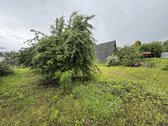 Parduodamas 5,88 a Sklypas Su Nameliu Klevų G - nuotraukos Nr. 3