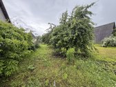 Parduodamas 5,88 a Sklypas Su Nameliu Klevų G - nuotraukos Nr. 5