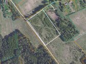 1.69 Ha Žemės Ūkio Paskirties Sklypas - nuotraukos Nr. 5