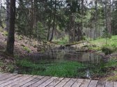 Unikalus Turtinis Kompleksas - nuotraukos Nr. 21