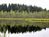 Unikalus Turtinis Kompleksas - nuotraukos Nr. 19