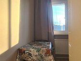 Apžiūra galima nuo liepos 8 dienos. - nuotraukos Nr. 4