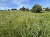 Parduodamas 18,41 a. sklypas vaizdingoje ir - nuotraukos Nr. 6