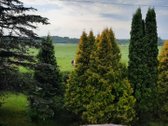 Puiki vieta. Namas miestelyje, nuošaliau. - nuotraukos Nr. 15