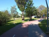 Šalia namo išpuoselėta infrastruktūra. - nuotraukos Nr. 6