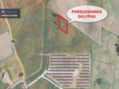 Parduodamas 15.87 Arų Sklypas Rokiškio Rajone - nuotraukos Nr. 6