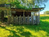 Panevėžio Rajone Algirdiškio K. Šiaulių G. - nuotraukos Nr. 19