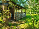 Panevėžio Rajone Algirdiškio K. Šiaulių G. - nuotraukos Nr. 20