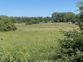 Parduodamas 0,86 ha (86 arų) žemės ūkio - nuotraukos Nr. 3