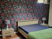 1 miegamojo 2 apartamentai