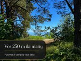 Parduodami du butai viename projekte Nidoje - nuotraukos Nr. 24
