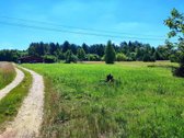Erdvus sklypas Neravuose - nuotraukos Nr. 3