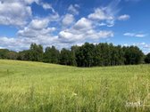 Parduodamas 1,96 Ha Sklypas Ūkininko Sodybai - nuotraukos Nr. 11