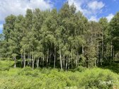 Parduodamas 1,96 Ha Sklypas Ūkininko Sodybai - nuotraukos Nr. 12