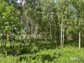 Parduodamas 1,96 Ha Sklypas Ūkininko Sodybai - nuotraukos Nr. 13