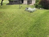 Parduodama sodyba Molėtų rajone, Runionių kaime - nuotraukos Nr. 4