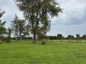 Parduodama sodyba su pradėtu renovuoti namu. - nuotraukos Nr. 15