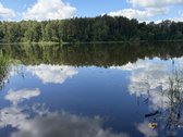 Parduodama sodyba Utenos raj. Likančių km. - nuotraukos Nr. 4