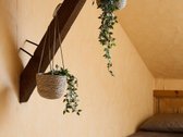 Išskirtinė investicija: Parduodama renginių - nuotraukos Nr. 43
