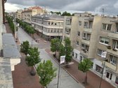 Išnuomojamas erdvus butas aukštomis lubomis, - nuotraukos Nr. 2