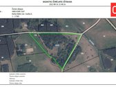 Parduodamas 2,45 ha žemės ūkio paskirties - nuotraukos Nr. 4