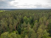 Be tarpininkų ! Parduodamas namų valdos - nuotraukos Nr. 3