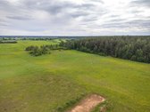 Be tarpininkų ! Parduodamas namų valdos - nuotraukos Nr. 7