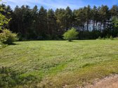 15 Arų Sklypas Palangoje Vos 900m Nuo Jūros - nuotraukos Nr. 3