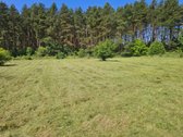 15 Arų Sklypas Palangoje Vos 900m Nuo Jūros - nuotraukos Nr. 5