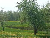 Netoli Alytaus - apie 5km, tvarkinga gyvenvietė. - nuotraukos Nr. 7